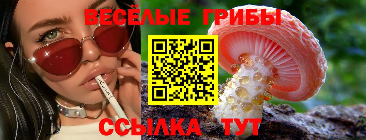 Псилоцибиновые грибы GOLDEN TEACHER Рузаевка